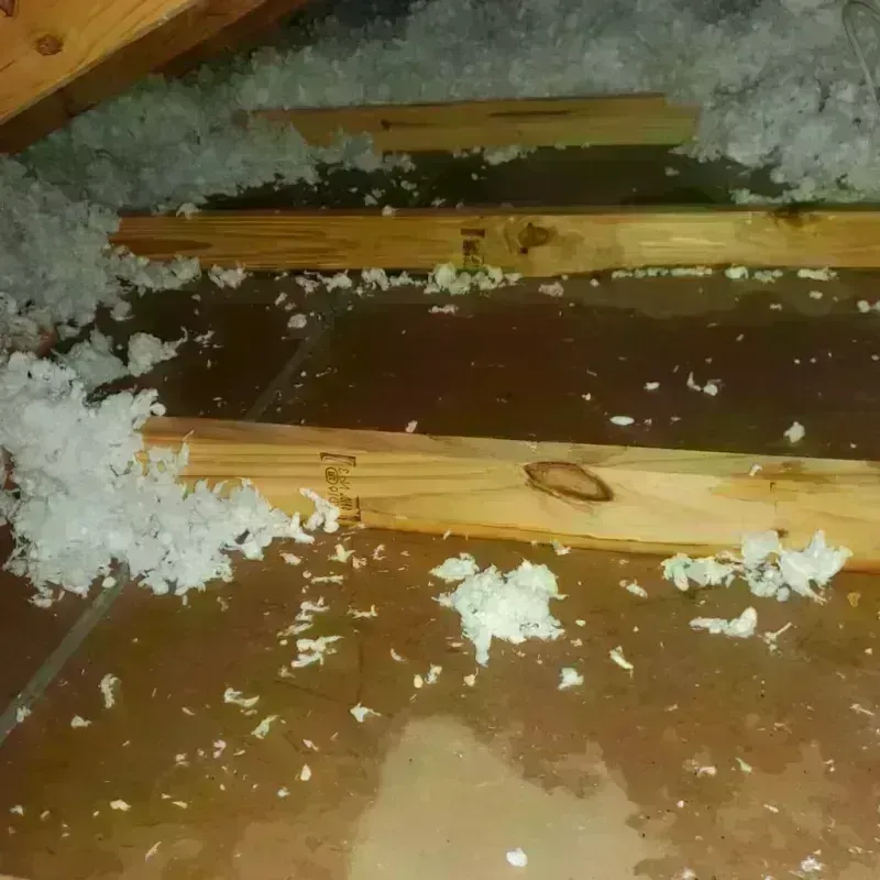 Attic Water Damage in Tuttle, OK