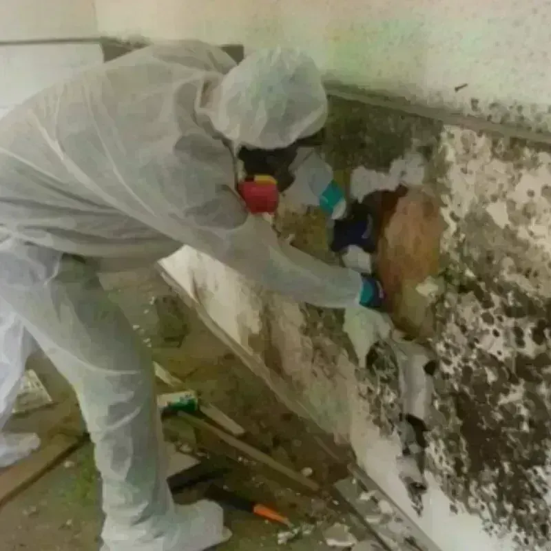 Mold Remediation and Removal in Tuttle, OK