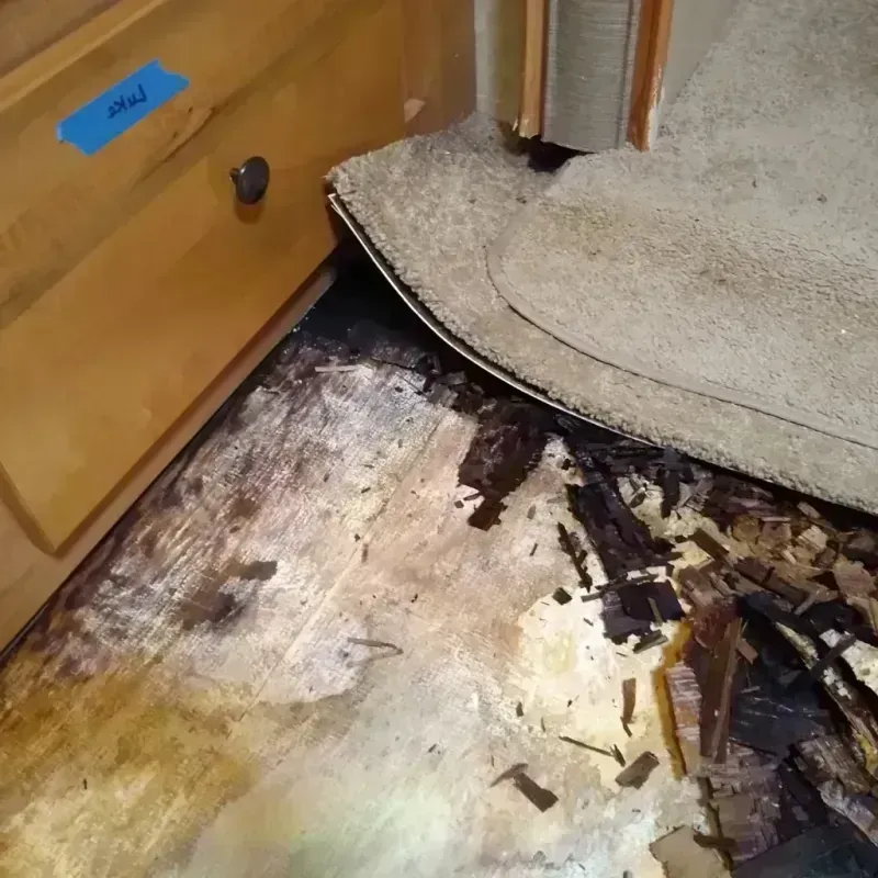 Wood Floor Water Damage in Tuttle, OK